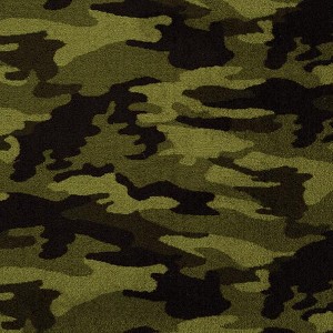 Camouflage Cover Up